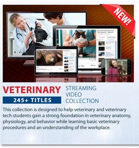 Veterinary Collection