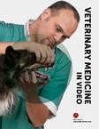 veterinary_education_in_video_logo