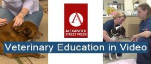 Veterinary Education in Video